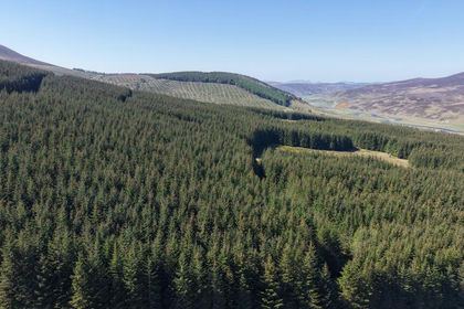 1168.3 acres of Woodland for sale in Caithness, Sutherland and Easter Ross