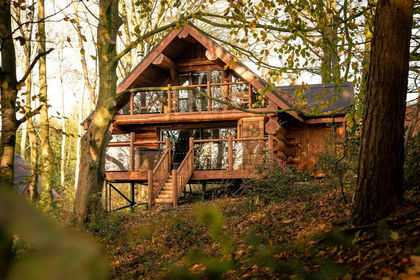 20 acres of Woodland with Cabin for sale in Belper
