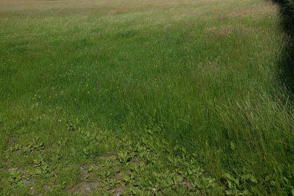 42.3 acres of Agricultural Land for sale in Broughton East