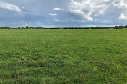 44.4 acres of Agricultural Land for sale in Mark