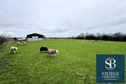 5.5 acres of Grazing Land for sale in Shirland and Higham
