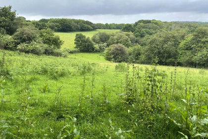 4.8 acres of Agricultural Land for sale in Ticehurst