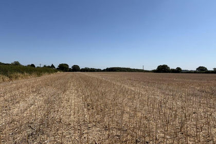 29.6 acres of Arable Land for sale in Sparham