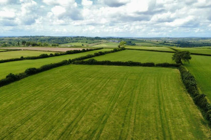 Farmland for sale in Wiston