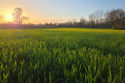 16.5 acres of Property for sale in Pontesbury