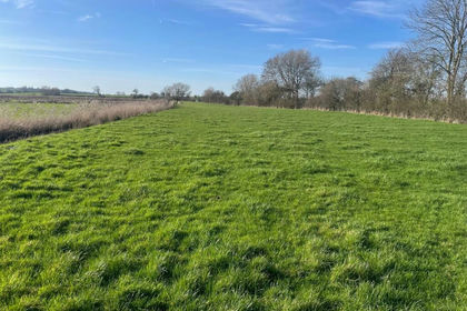 24 acres of Agricultural Land for sale in Chilton Polden