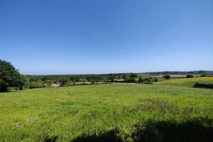 21.8 acres of Agricultural Land for sale in Northchapel