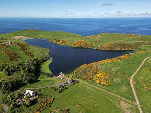 57 acres of Fishery for sale in Eyemouth