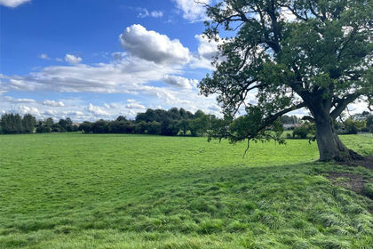 14.2 acres of Agricultural Land for sale in Wath