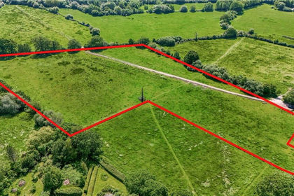 Farmland for sale in Harting