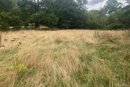 24.6 acres of For sale in Worthen with Shelve
