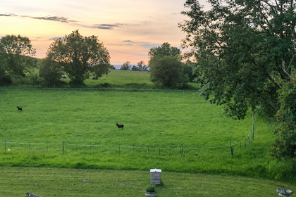 1.5 acres of House with Land for sale in Baltonsborough