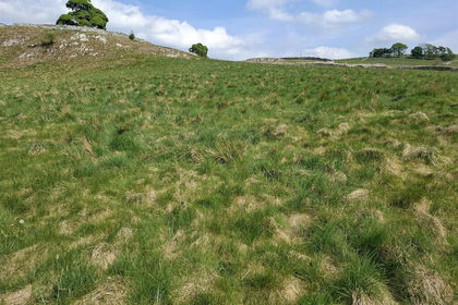 5.2 acres of Agricultural Land for sale in Alstonefield