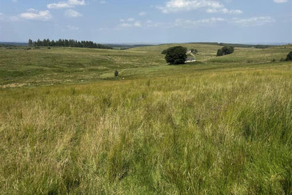 48.2 acres of Grazing Land for sale in Wark