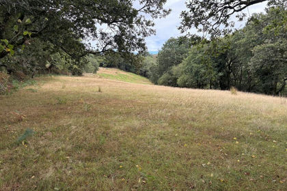 2.2 acres of Equestrian property for sale in Shaugh Prior