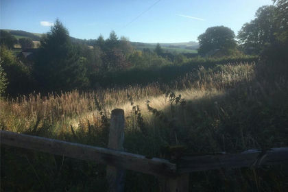 Land for sale in Berwickshire, Roxburgh and Selkirk