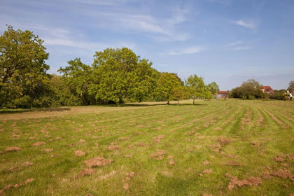 3 acres of Land for sale in Ramsden Bellhouse
