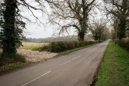 Woodland for sale in Ockham