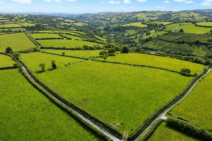 19.5 acres of Farmland for sale in Llanegwad