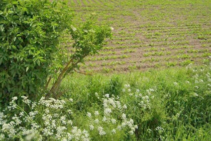 Vacant Land for sale in Collingham