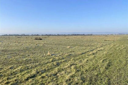 17.4 acres of Agricultural Land for sale in Pawlett