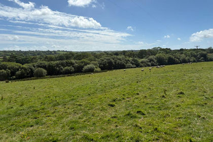 8.7 acres of Grazing Land for sale in Martletwy