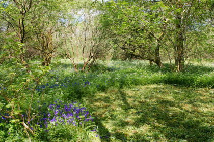 22 acres of Recreational Land for sale in Argyll, Bute and South Lochaber