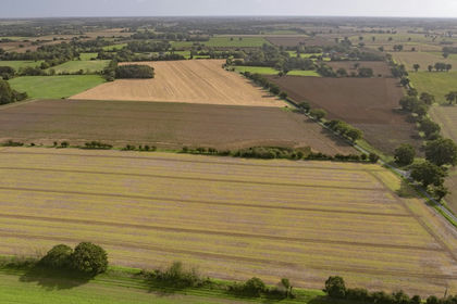 159.9 acres of Farmland for sale in Quidenham