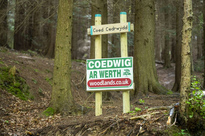 5 acres of Woodland for sale in