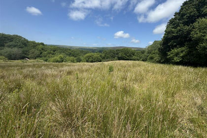 2 acres of Agricultural Land for sale in Cwmamman