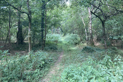 4 acres of For sale in Dorset