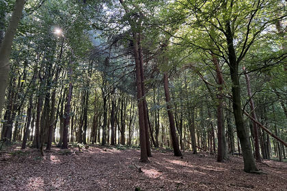 3.5 acres of For sale in the UK