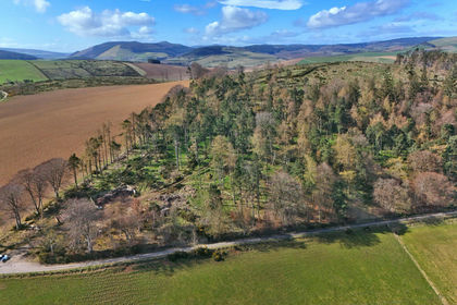 66.7 acres of Woodland for sale in Gordon and Buchan