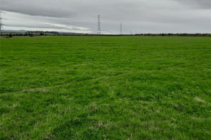 17.6 acres of Pasture for auction in Bridgwater