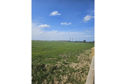 Pasture for sale in Chelsham and Farleigh