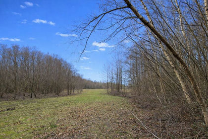 10 acres of Agricultural Land for sale in East Grinstead