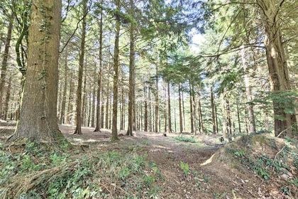 20 acres of Agricultural Land for sale in Great Torrington