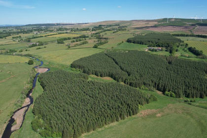 71.4 acres of Timberland for sale in East Kilbride and Strathaven