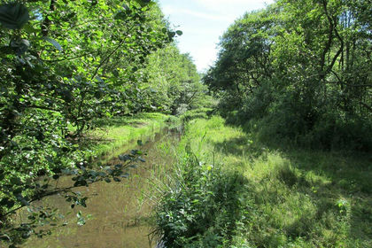 20.5 acres of Glamping Site for sale in North Cove