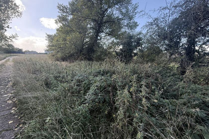 4.4 acres of Grazing Land for auction in Rotherham