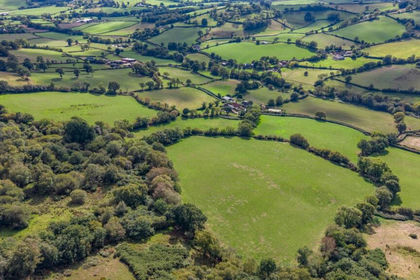 22.7 acres of Undeveloped Land for sale in Colyton