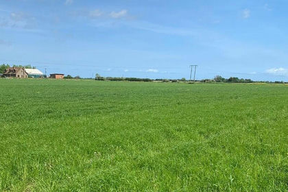 56.2 acres of Farmland for sale in Saltfleetby