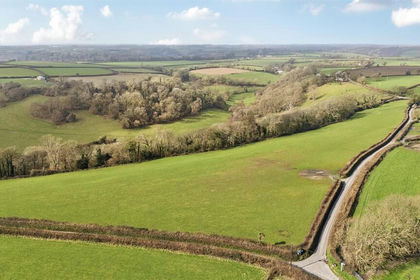 11 acres of Agricultural Land for sale in Branscombe