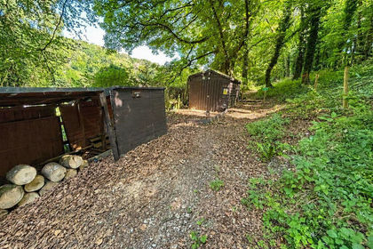 1.9 acres of Woodland for sale in Milton Abbas