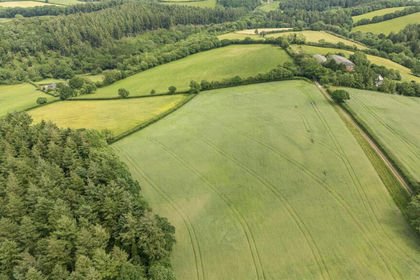 30.5 acres of Vacant Land for sale in Sandford