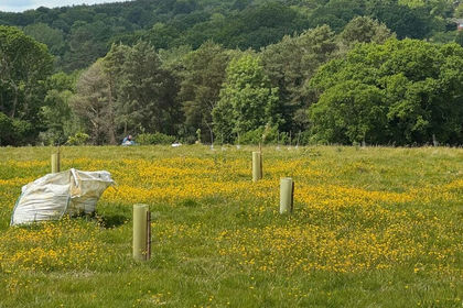 Development Land for sale in Pembury