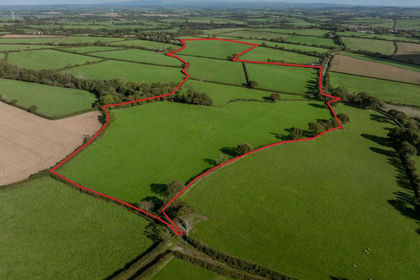 44.5 acres of Agricultural Land for sale in North Petherwin