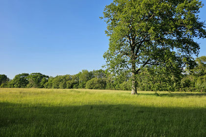 3.5 acres of Vacant Land for sale in