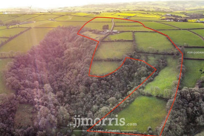53 acres of Agricultural Land for sale in Llanwinio