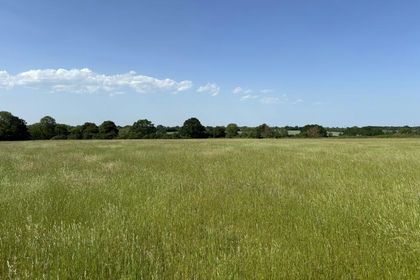 9 acres of Farmland for sale in Walsham-le-Willows